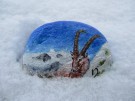 Steinbock im Schnee